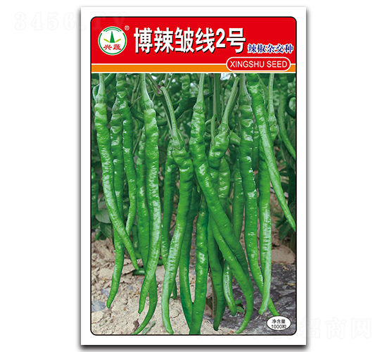博辣皺線2號(hào)-辣椒種子-興蔬種業(yè)