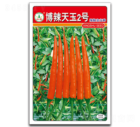 博辣天玉2號(hào)-辣椒種子-興蔬種業(yè)