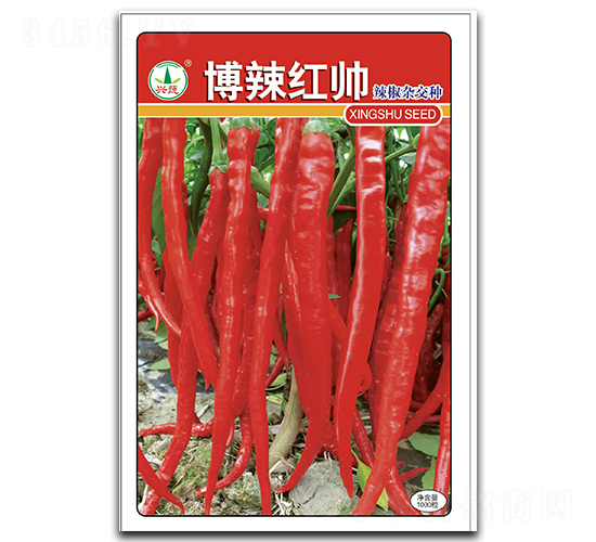 博辣紅帥-辣椒種子-興蔬種業(yè)