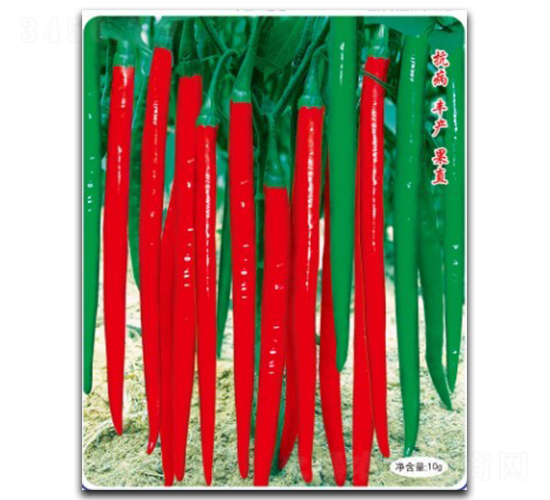 辛豐九號(hào)-辣椒種子-徽大農(nóng)業(yè)