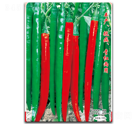 辛豐佳美-辣椒種子-徽大農(nóng)業(yè)