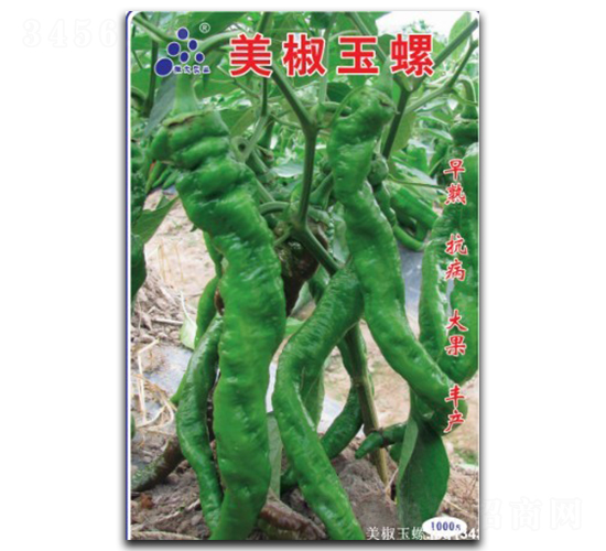美椒玉螺-辣椒種子-徽大農(nóng)業(yè)