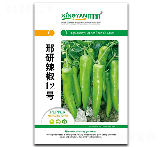 邢研辣椒12號(hào)-辣椒種子-邢研種業(yè)