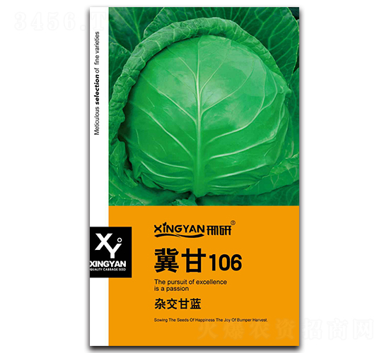 106-{N-зNI(y)