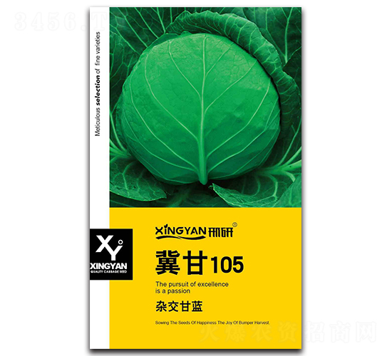 105-{N-зNI(y)