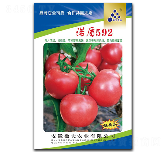 諾盾592（改良羅拉類型）-番茄種子-徽大農(nóng)業(yè)
