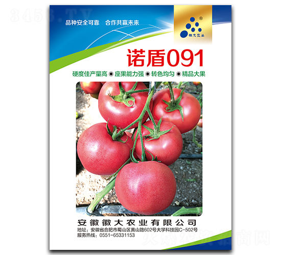諾盾091（精品大果）-番茄種子-徽大農(nóng)業(yè)