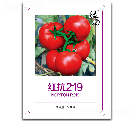 t219o޼tѣ-ѷN-մrI(y)