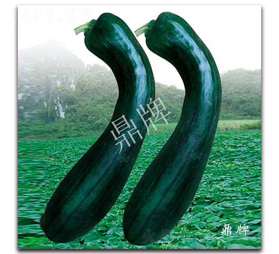 Ϲ-ϹϷN-ƷN