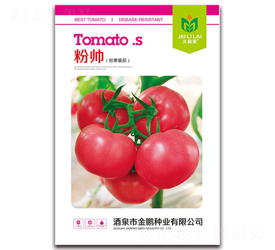 粉帥-番茄種子-金鵬種業(yè)