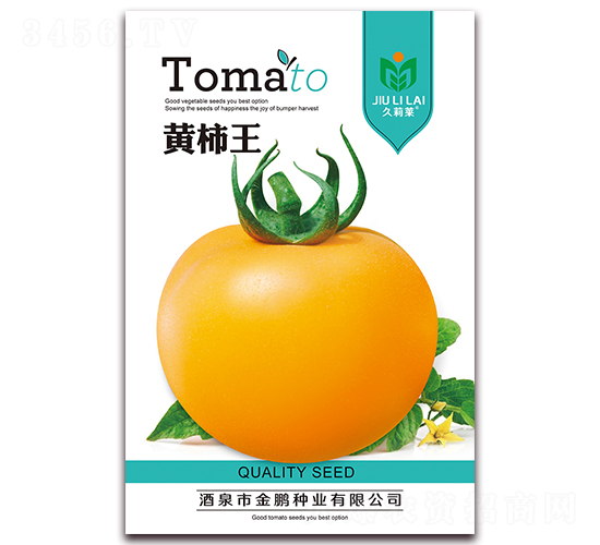 黃柿王-番茄種子-金鵬種業(yè)
