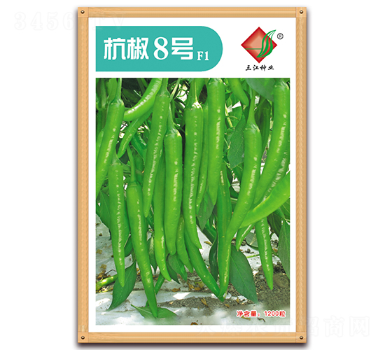 杭椒8號(hào)F1-辣椒種子-三江種業(yè)