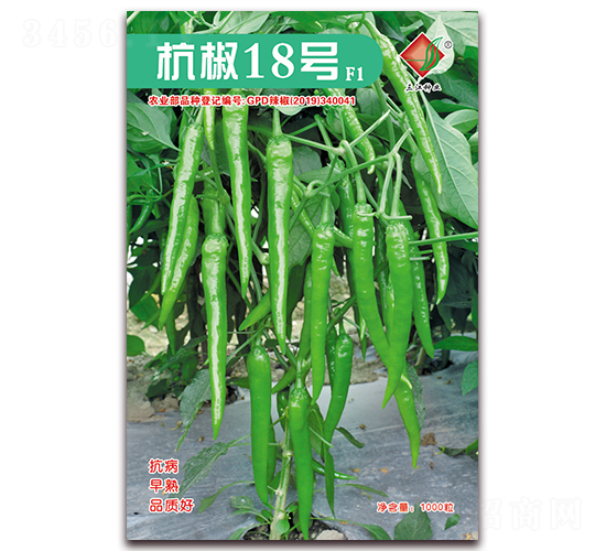杭椒18號(hào)F1-辣椒種子-三江種業(yè)