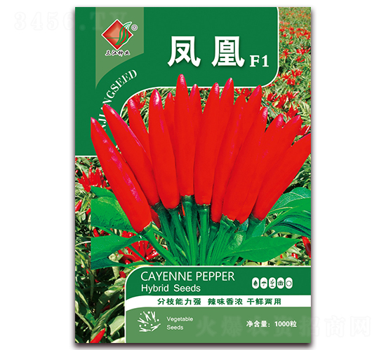 鳳凰F1-辣椒種子-三江種業(yè)