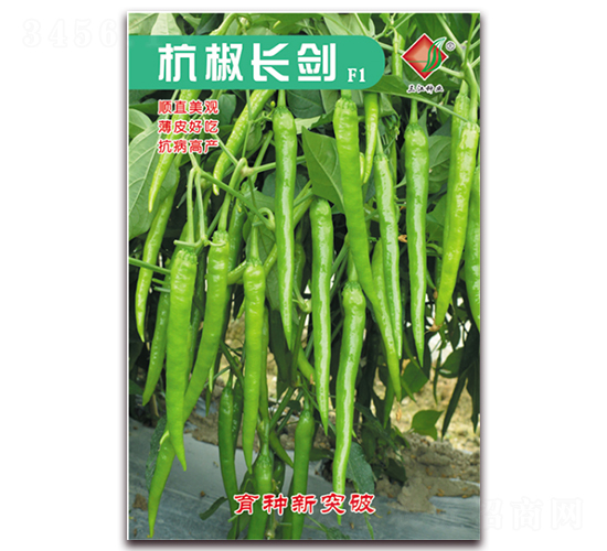 杭椒長劍F1-辣椒種子-三江種業(yè)
