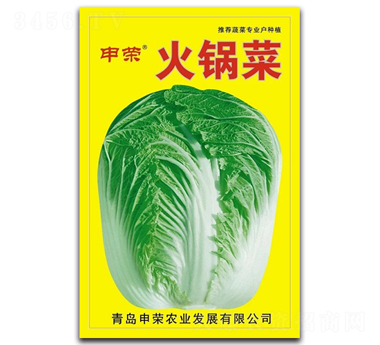 申榮火鍋菜-大白菜種子-申榮農(nóng)業(yè)