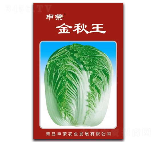 申榮金秋王-大白菜種子-申榮農(nóng)業(yè)