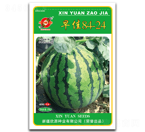 早佳84-24-西瓜種子-欣源種業(yè)