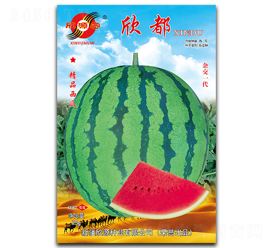 欣都-西瓜種子-欣源種業(yè)