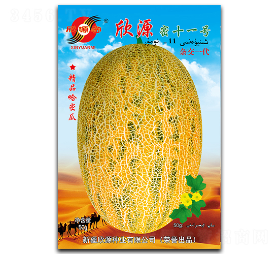 欣源密十一號-甜瓜種子-欣源種業(yè)