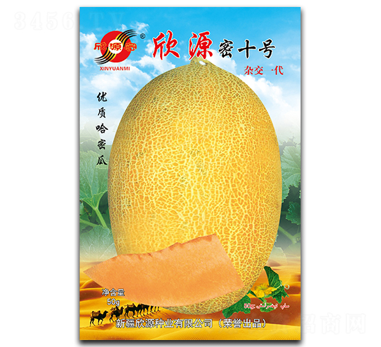 欣源密十號-甜瓜種子-欣源種業(yè)