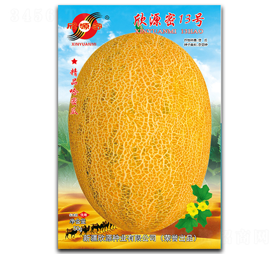 欣源密13號(hào)-甜瓜種子-欣源種業(yè)
