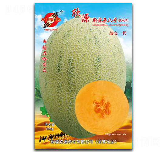 新密雜六號-甜瓜種子-欣源種業(yè)