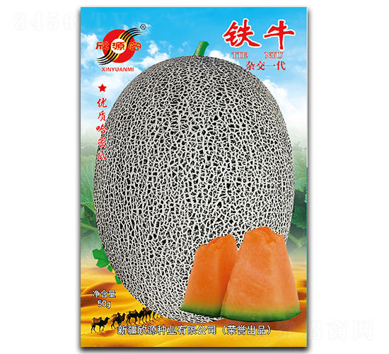 鐵牛-甜瓜種子-欣源種業(yè)