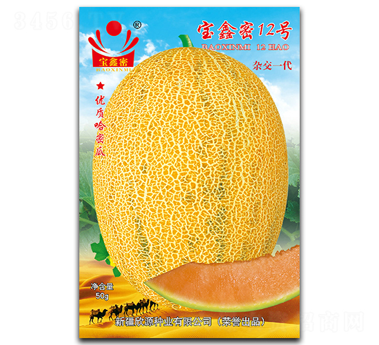 寶鑫密12號-甜瓜種子-欣源種業(yè)