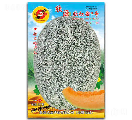 欣紅密9號-甜瓜種子-欣源種業(yè)