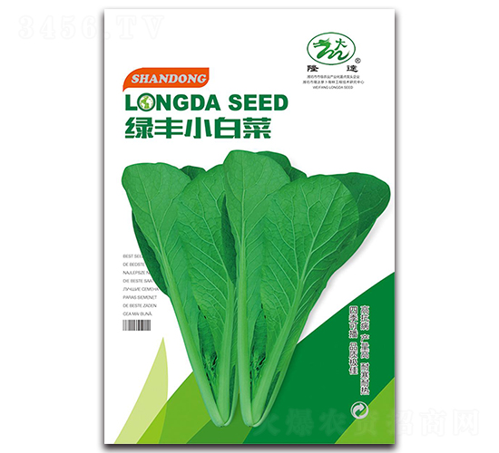 綠豐小白菜-白菜種子-隆達(dá)