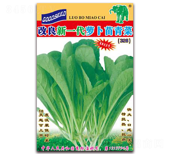 改良新一代蘿卜苗青菜328-青菜種子-吉豐種業(yè)