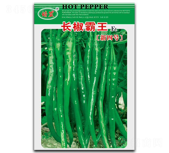 長(zhǎng)椒霸王新四號(hào)-辣椒種子-鴻盛園