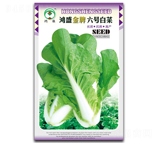 鴻盛金牌六號(hào)-白菜種子-鴻盛園