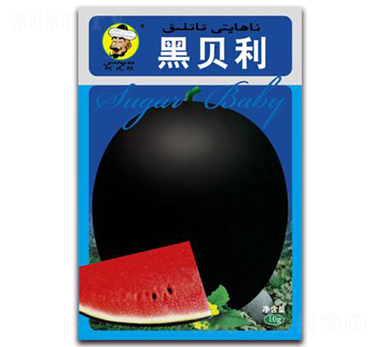 黑貝利-西瓜種子-現(xiàn)代種業(yè)