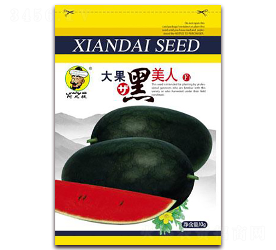 大果黑美人-西瓜種子-現(xiàn)代種業(yè)