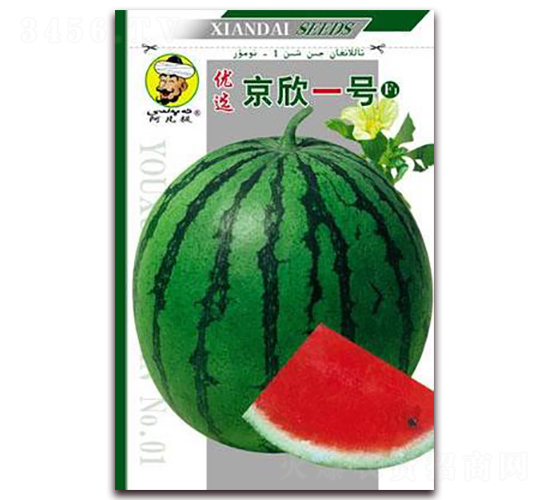 京欣一號(hào)-西瓜種子-現(xiàn)代種業(yè)