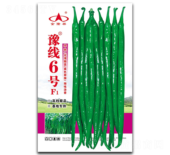 豫線6號-辣椒種子-金隆祥