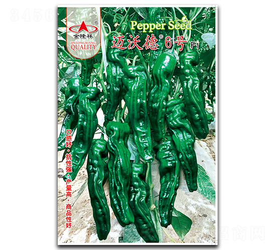 邁沃德6號(hào)-辣椒種子-金隆祥