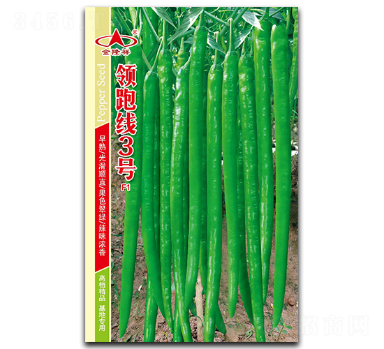 領(lǐng)跑線3號(hào)-辣椒種子-金隆祥