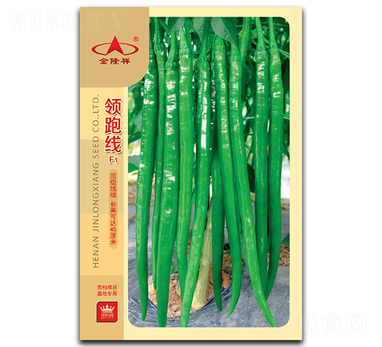 領(lǐng)跑線-辣椒種子-金隆祥