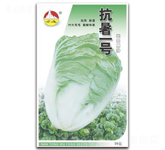 抗暑一號-白菜種子-東方種業(yè)