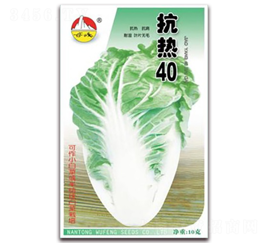 抗熱40-白菜種子-東方種業(yè)