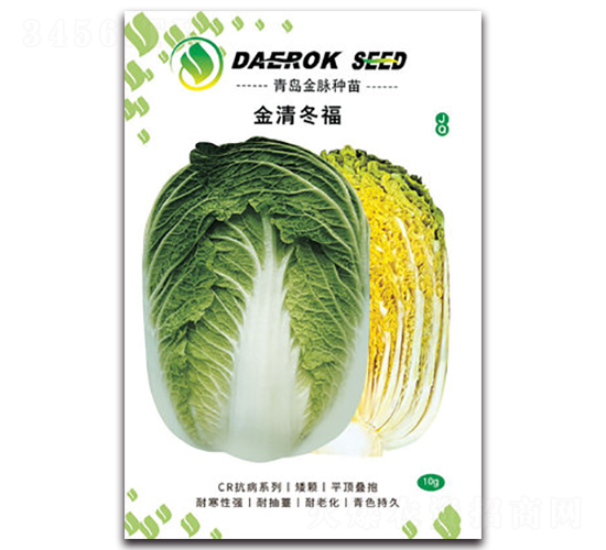 金清冬福-白菜種子-金脈農(nóng)業(yè)