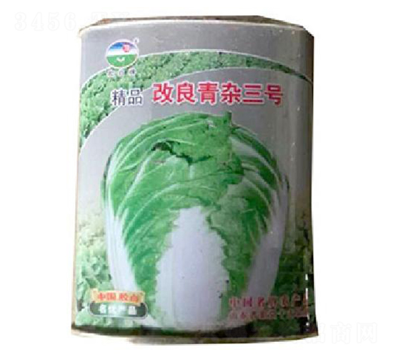 精品改良青雜三號-白菜種子-膠白