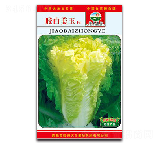 膠白美玉F1-白菜種子-膠白