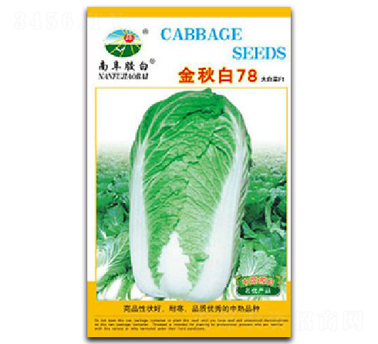 金秋白78-白菜種子-膠白