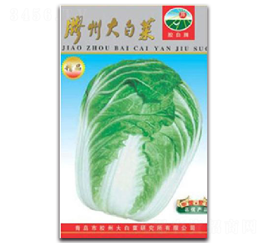 膠州大白菜-白菜種子-膠白
