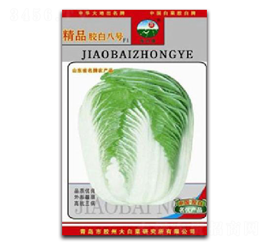 精品膠白8號(hào)-白菜種子-膠白