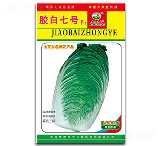 膠白七號(hào)F1-白菜種子-膠白